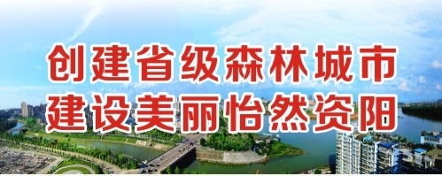 乖让我插入你的逼逼视频创建省级森林城市 建设美丽怡然资阳