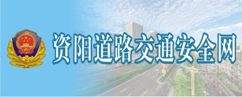 噢噢噢噢快操我逼资阳道路交通安全网