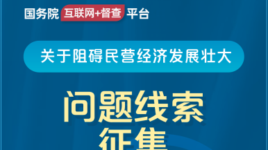 操你逼视频国务院“互联网+督查”平台公开征集阻碍民营经济发展壮大问题线索